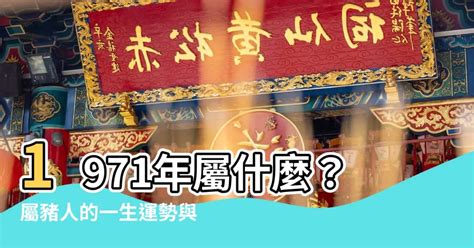 1971屬豬五行|1971年屬什麼生肖？1971年出生人的命運？釵釧金。